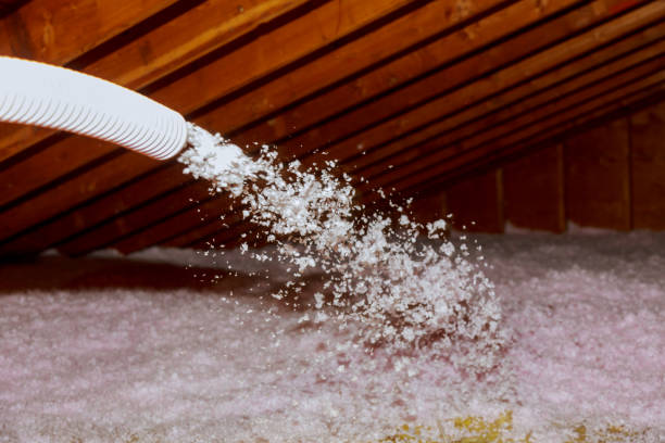 Insulation Contractors for Homes in Summerville, SC