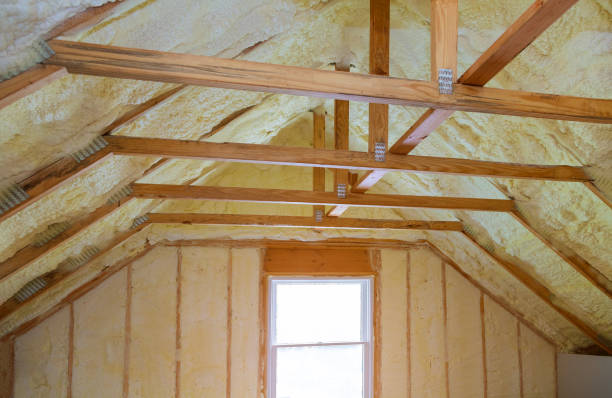 Best Insulation Repair Services  in Summerville, SC