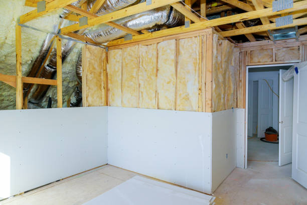 Best Wall Insulation Contractor  in Summerville, SC