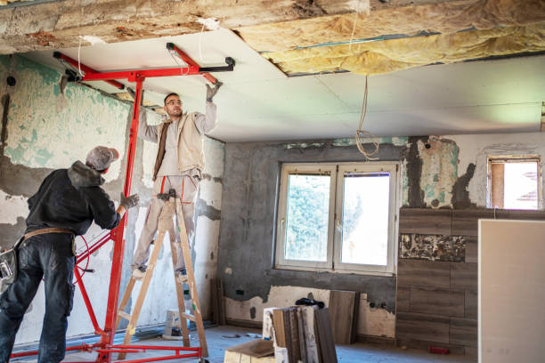 Best Professional Insulation Contractor  in Summerville, SC