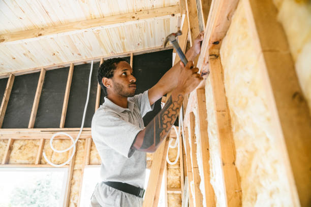 Best Insulation Replacement Services  in Summerville, SC