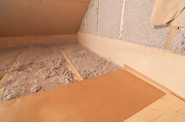 Best Attic Insulation Installation  in Summerville, SC