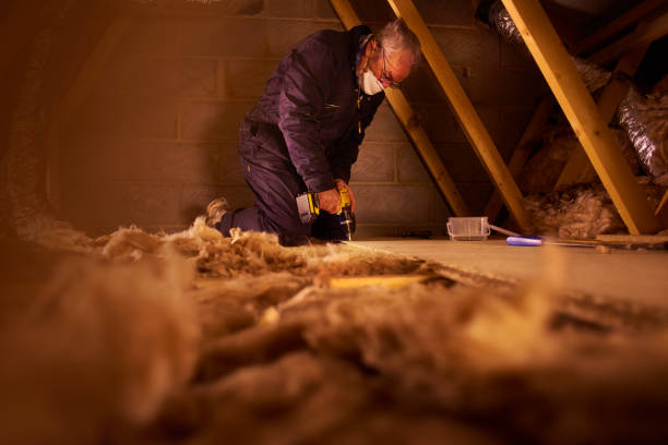 Best Professional Insulation Contractor  in Summerville, SC